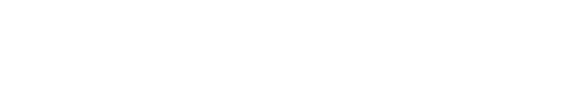 紅水河投資集團